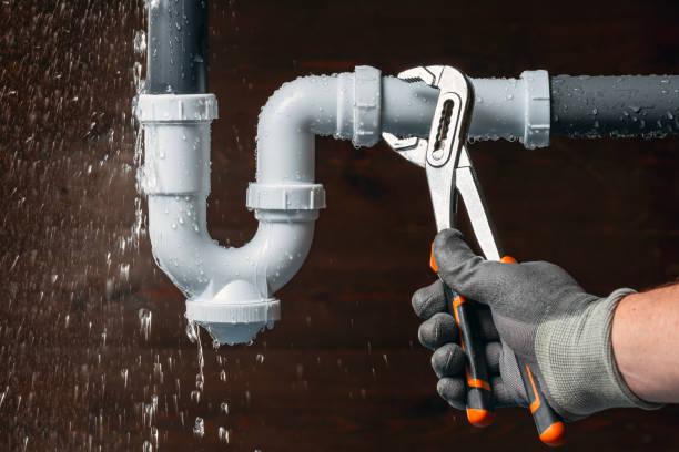 Professional Plumbing technician working in Roy, WA